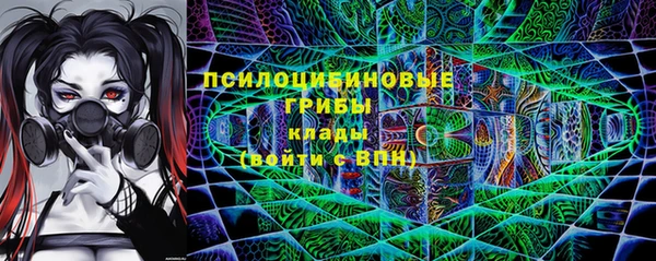 PSILOCYBIN Беломорск